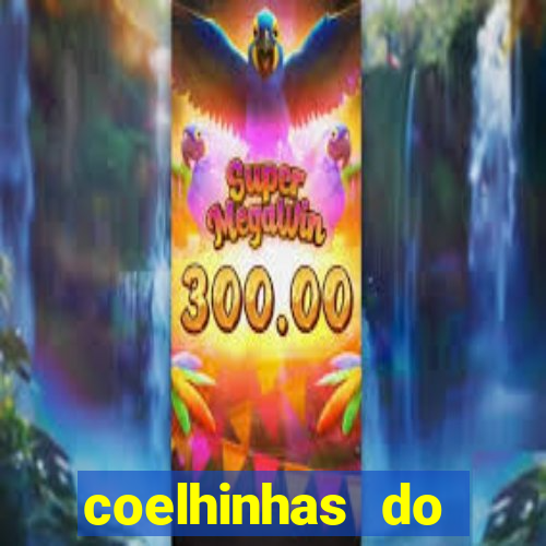 coelhinhas do brasil jp